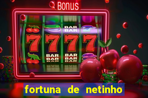 fortuna de netinho de paula